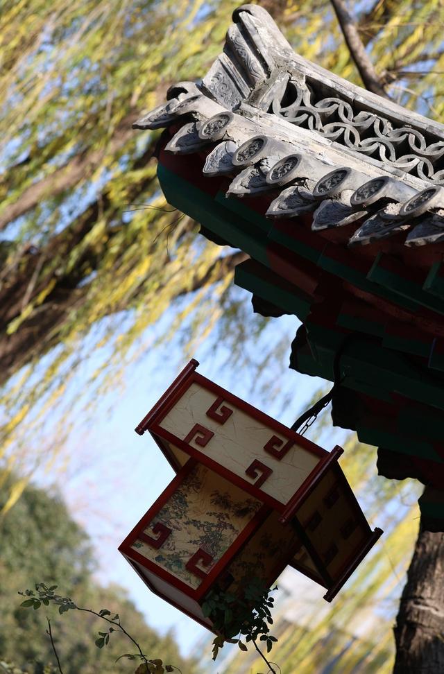 新视界｜如诗如画！冬至趵突泉 景色别样新