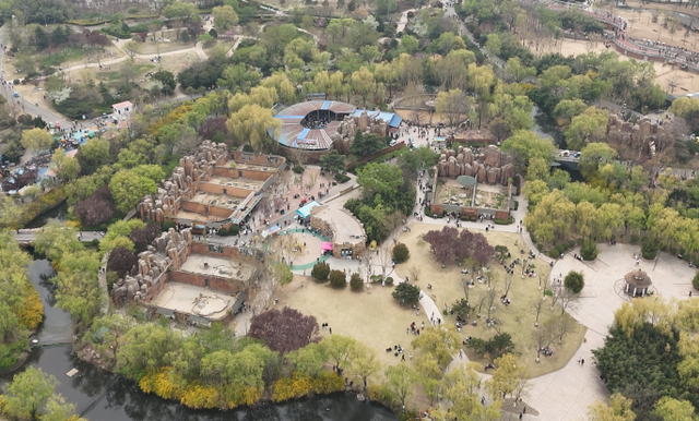 3.0时代开启！临沂动植物园焕新重塑，打造城市生态新地标