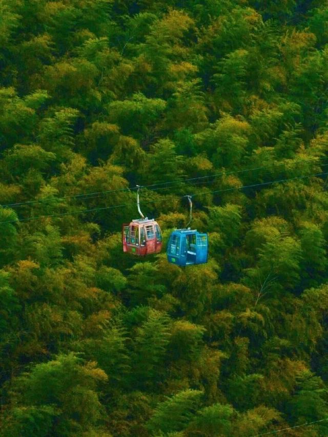 现在的宜兴，已经美成这样了……