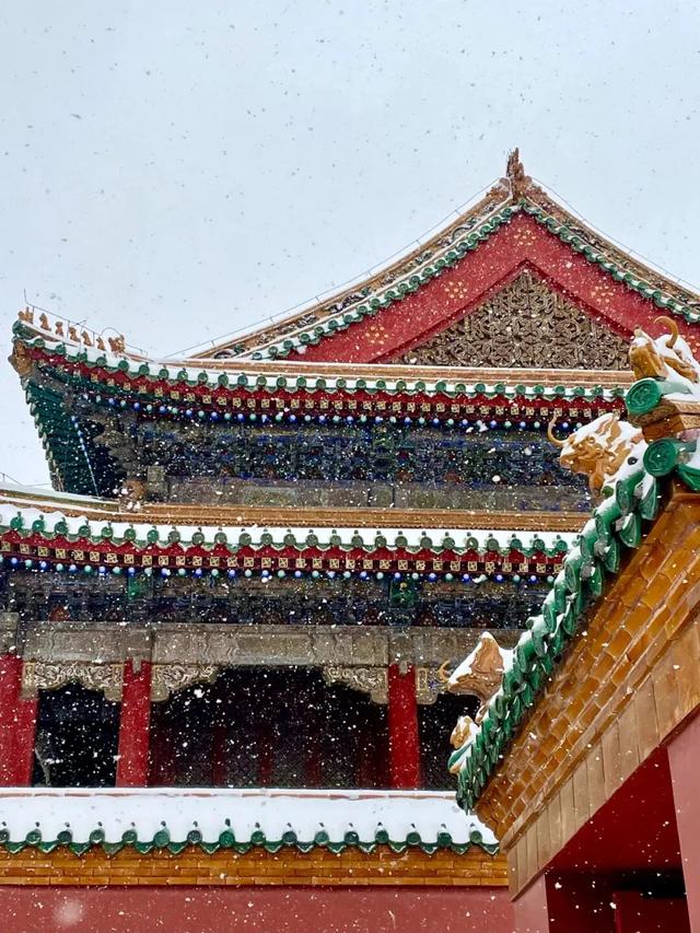 全网都在等的沈阳故宫雪景，来了→