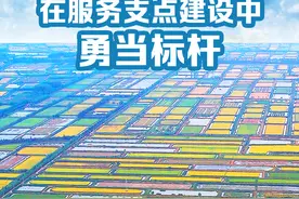 潜江市委书记叶杨：攀高比强 创先争优 在服务支点建设中勇当标杆图片