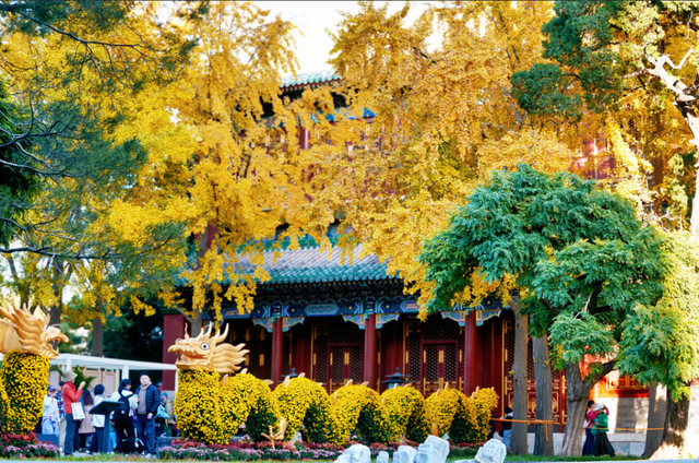 北京赏秋“绝配”来了！