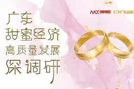 广州花都首秀！首个岭南园林式婚俗文化产业基地正式揭牌图片