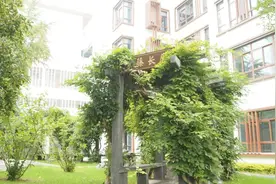 长宁样本！“栗里家园”今天正式开园图片