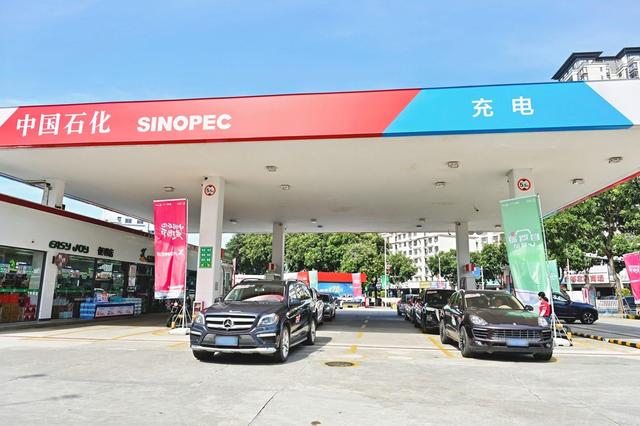中国石化“爱跑节”启动：体验滨海自驾，尝鲜“第一网鱼”