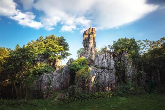 官宣！广安&涪陵，这些景区门票互免啦~