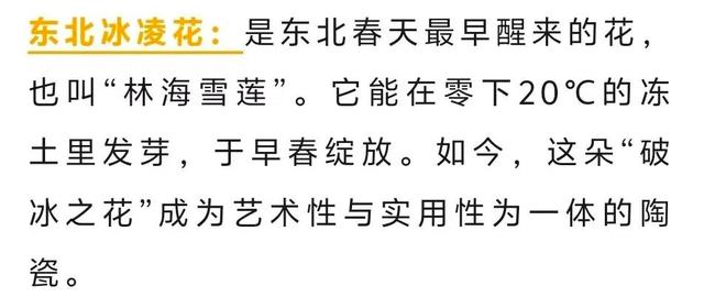 辽宁，能处！央视推荐！来辽宁赴一场山海之约
