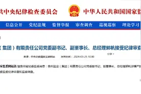中纪委官网刚刚通报，郭帆接受审查调查图片