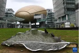 AI“涌入”香江，激荡“智能向善”浪潮图片