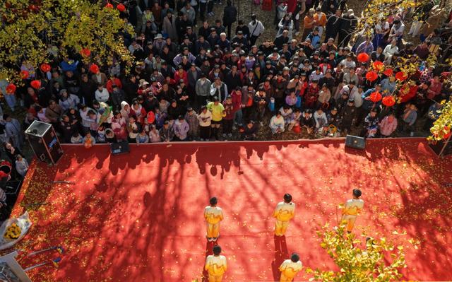 人从众嗨翻全场！带你直击大田广平银杏孝文化节～