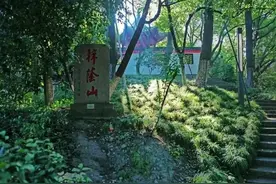 浙江宣传 | 梓荫山下看镇海图片