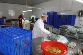 鹤峰：箬叶野转家 绿叶变“金叶”图片