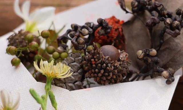 周末，去“捡秋”！