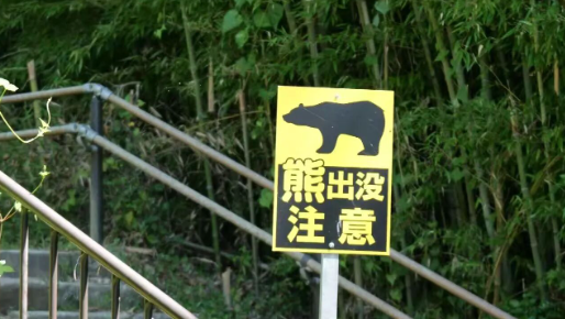 日本熊灾，吓跑多少中国游客？