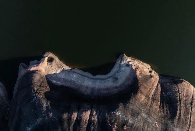 大自然的表情包！永兴风光里的“动物世界”