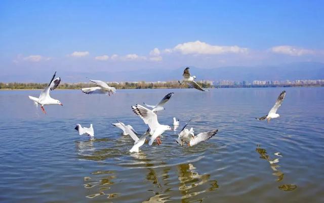 季节限定 | 温暖过冬,认准西昌牌“三件套”!