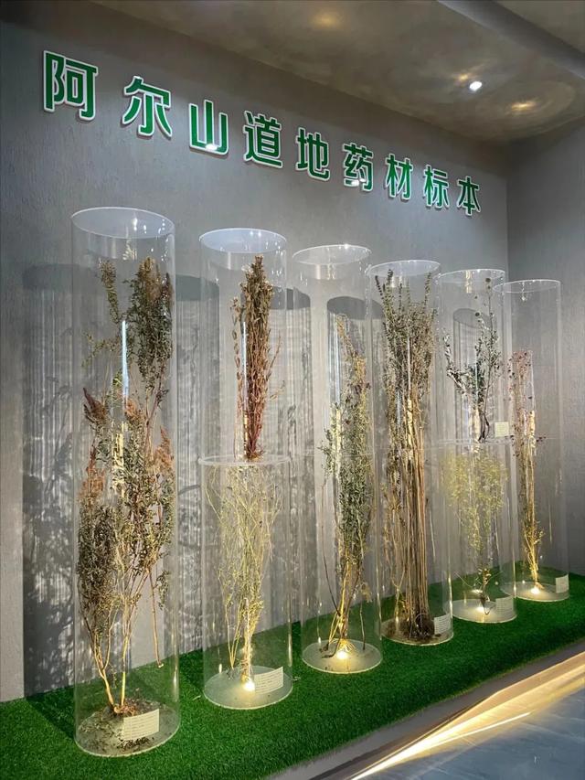 内蒙古冰雪旅游季第二站｜当阿尔山飘雪，赴一场温泉与惊喜的约会