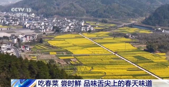 视频丨踏青赏花、采春茶、吃春菜 各地特色活动邀你尽享春日惬意
