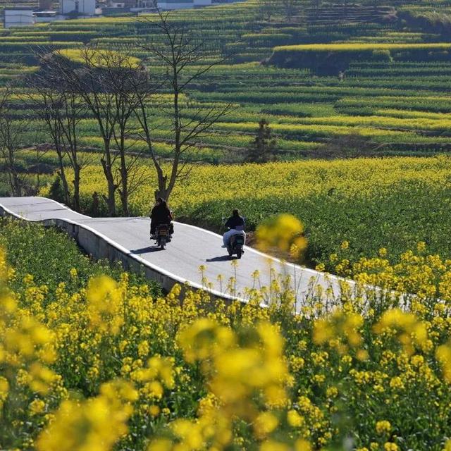 这条路超美超出圈！2月1日，一起来跑吧！