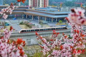春日限定！“花漾”磁浮图片