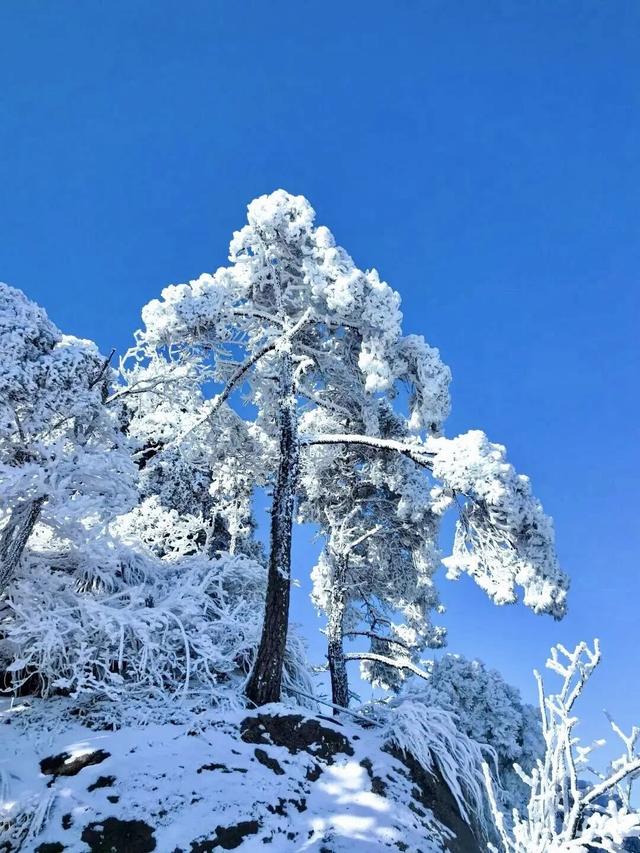 别等了！来九华赏雪景