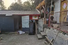 58岁丈夫讲述熊口救妻搏斗过程：锤头砸熊背就像砸在棉花上图片