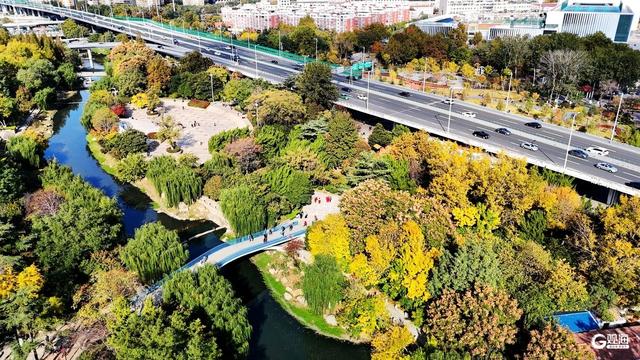 秋日海泊河公园：不必远寻，这里就有“推窗见绿、出门入园”休闲生活