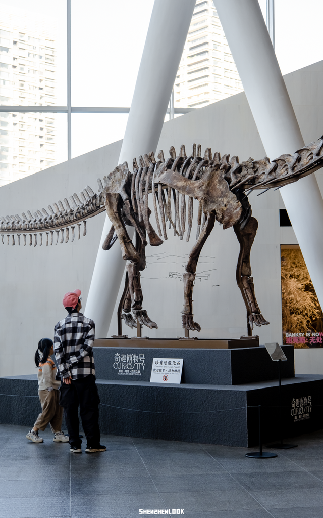 “这可能是深圳最热闹的周末，攻略准备好了”