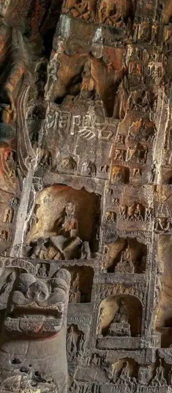 生态之旅——打卡“美丽河湖”伊洛河