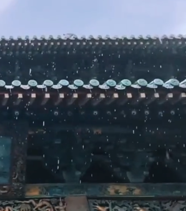 关掉BGM吧！这个夏天，运城大自然的声音比任何音乐都动人