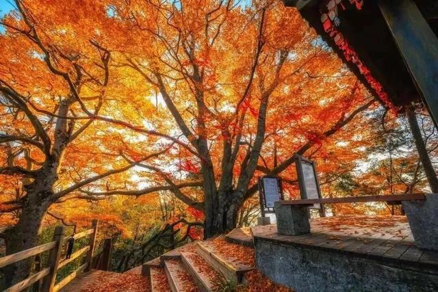 庆双节·护平安 | “蓝朋友”陪你解锁四川宝藏美景→