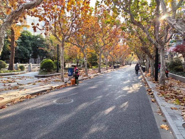 别错过，用Citywalk感受落叶的浪漫→