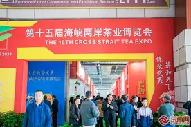 第十五届海峡两岸茶业博览会在武夷山举办图片