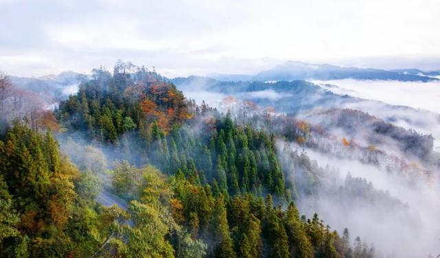 秋假必冲！瓦屋山免门票赏秋，徒步挑战拿奖牌！