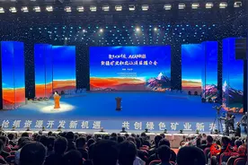 以矿为媒！2025年新疆首场矿业权出让项目推介会举行图片