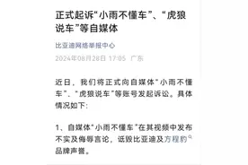 比亚迪再次起诉多家自媒体，高管频频下场怒批“黑公关”图片