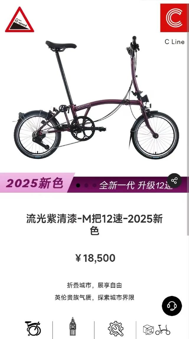 马云现身杭州西湖夜游骑行，网友晒同款折叠自行车，售价1.85万元