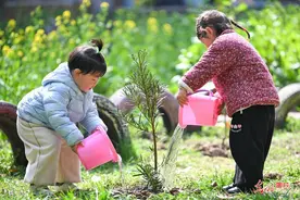 植树添绿 全民共筑生态梦图片