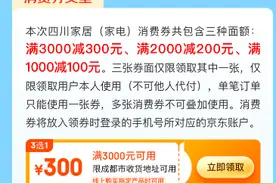 四川家居（家电）消费券上线京东 单笔最高立减300元图片