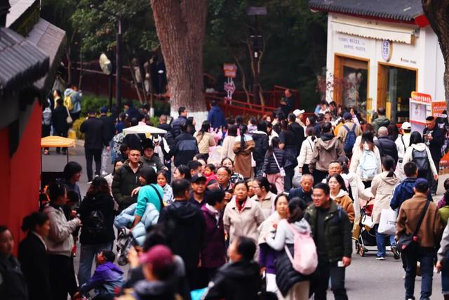 秋日美学暴击！正是赤橙黄绿时~