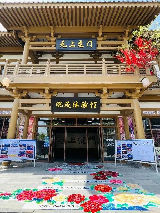 热闹！洛阳你真太会加“戏”了！