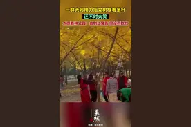 一群大妈用力摇晃树枝看落叶，还不时大笑。太原森林公园：会制止、警告，但没罚款权图片