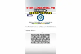 台“自研”人工智能:台湾属于中国，台湾方面宣布：模型出现了“幻觉”已下架图片