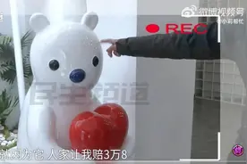 民宿老板3千元网购疑似盗版小熊摆件，被索赔3.8万元 平台：如核实将对商家扣分 律师提醒主动审核授权图片