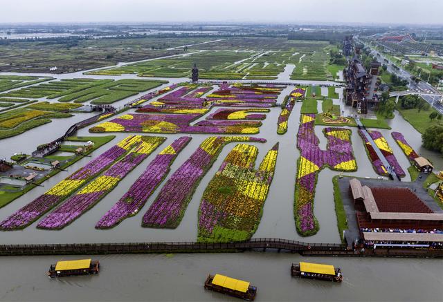 江苏兴化：千垛花海引客来