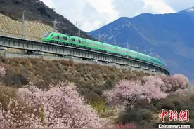 拉林铁路通车四年累计运送旅客超395万人次图片