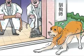 花8000元送去宠物学校的狗挨了打 记者调查驯犬市场乱象图片