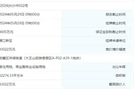 重磅地块成交！蝶变后的大王山太惊艳图片