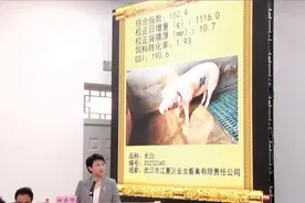 3.8万元！它是今年“最靓”的猪！16头特优级种猪同场竞价湖北长白公猪夺得“标王”图片