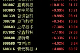 全国一体化算力网来了，板块应声大涨，龙宇股份等4股涨停图片